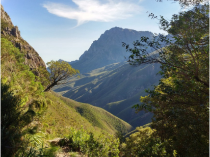Tackling the Trails of Jonkershoek, Western Cape