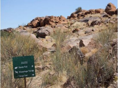Dassie Day Hiking Trail 