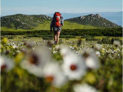 Steenbok Flower Trail
