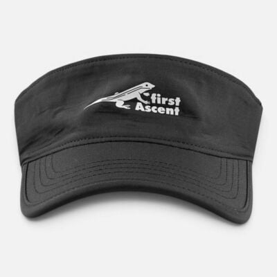 Pulse Visor