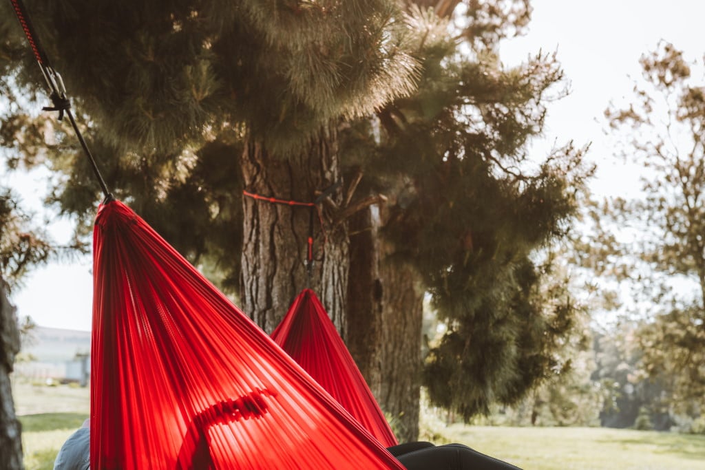 Hammock Harness