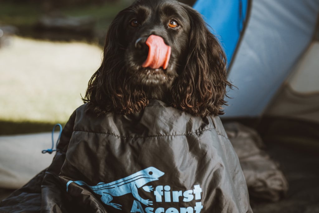 Amplify 1500 Synthetic Sleeping Bag